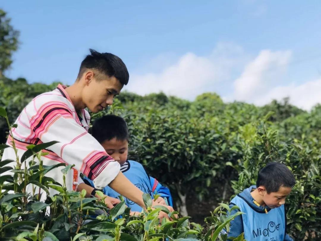 西双版纳研学旅行夏令营