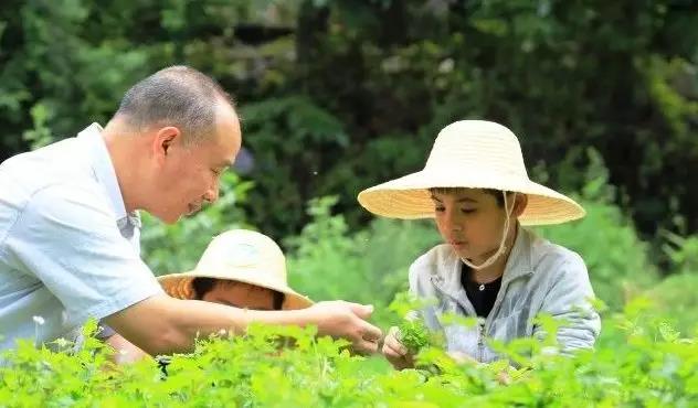 西双版纳夏令营