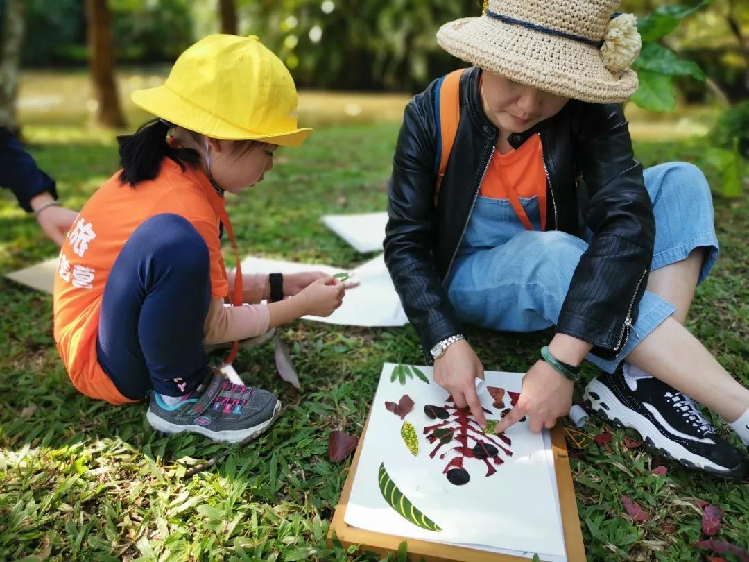 西双版纳研学夏令营