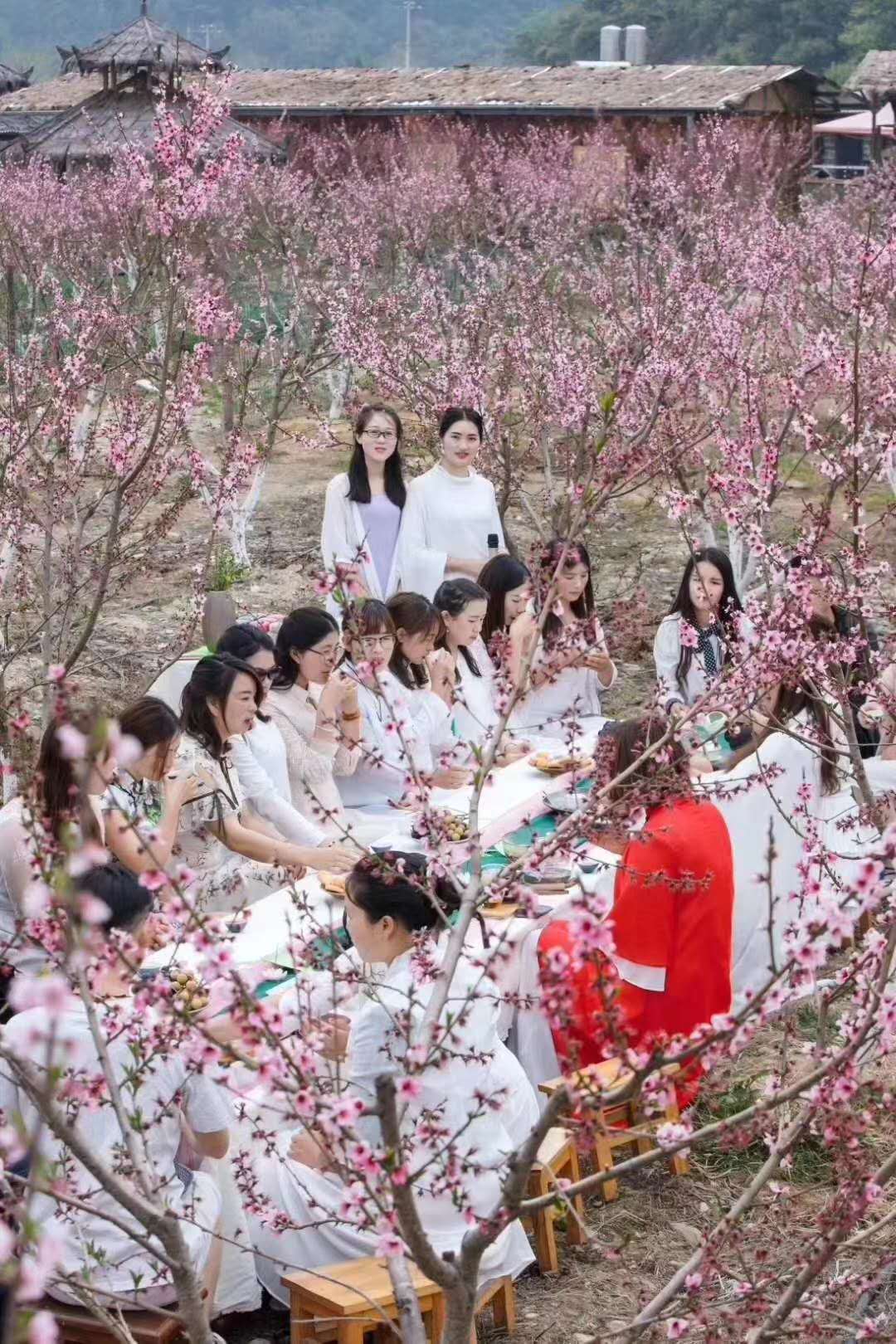 西双版纳 西双版纳