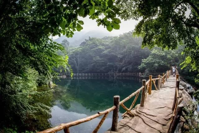 西双版纳热带雨林穿越拓展训练主题团建