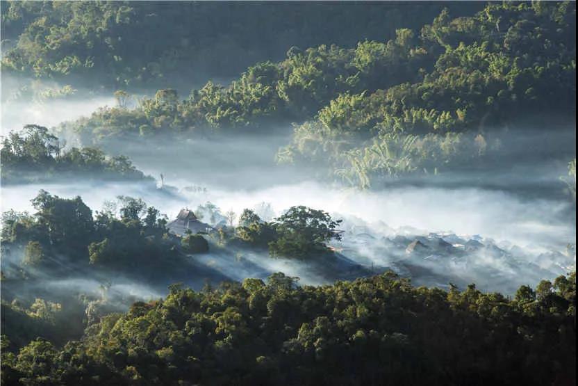 西双版纳旅游度假区 | “象”往的生活·喧嚣世界，心灵安放何处？