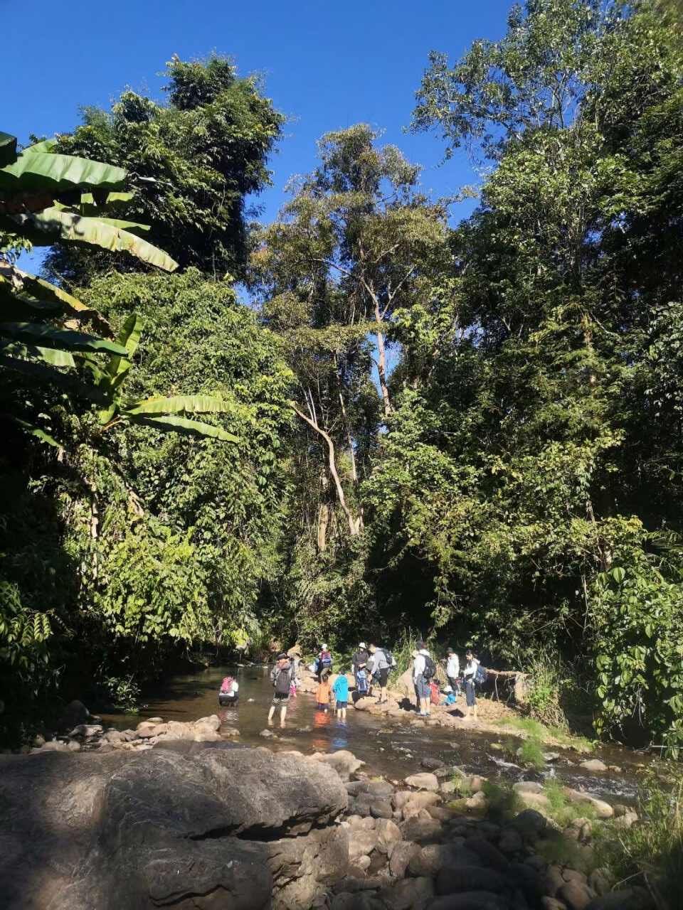 西双版纳勐远仙境景区热带雨林徒步