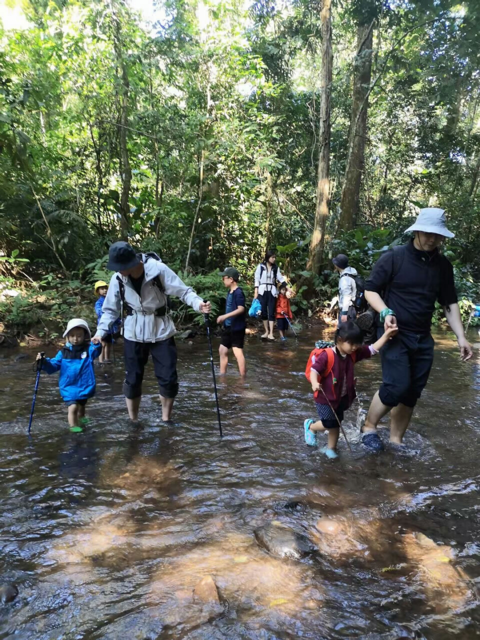 西双版纳勐远仙境景区热带雨林徒步