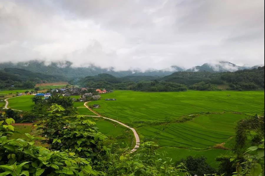 曼旦村---雨林深处的世外桃源