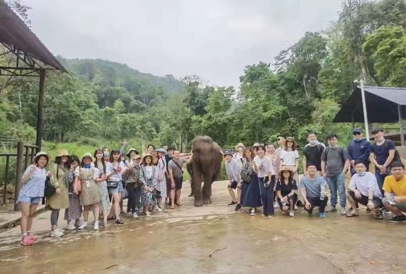 西双版纳最好的旅行团建就是参与不同的体验之亚洲象保护协会志愿者