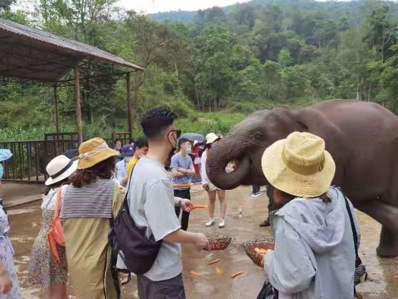 西双版纳旅行团建