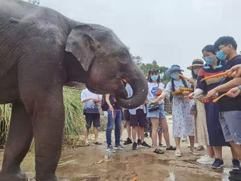 西双版纳旅行团建