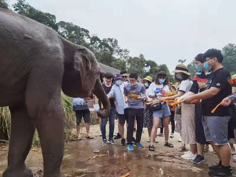 西双版纳旅行团建