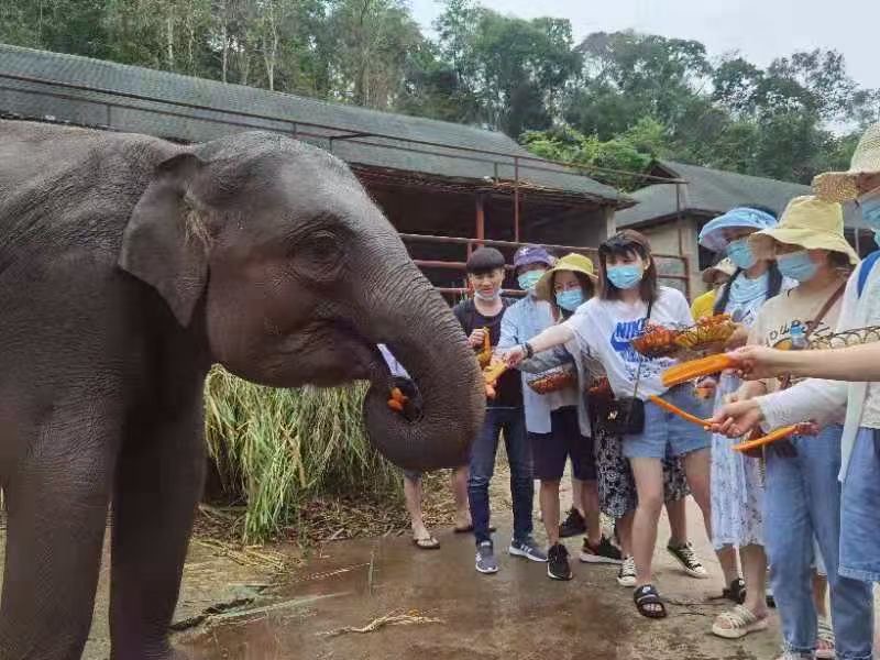 西双版纳旅行团建