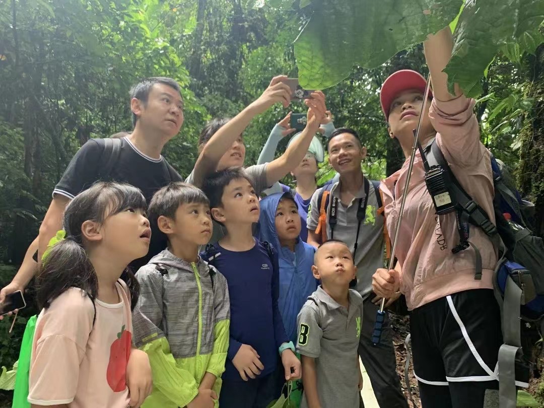 西双版纳勐远仙境雨林穿越