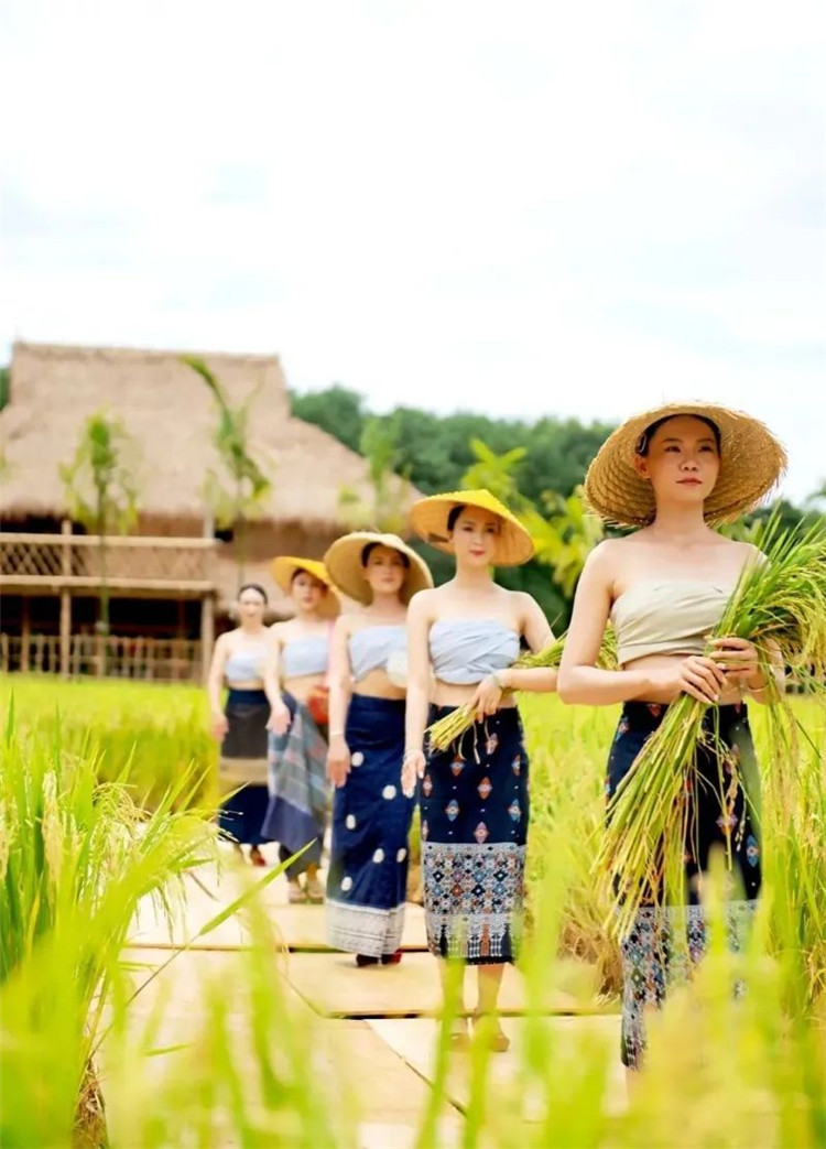 西双版纳旅游