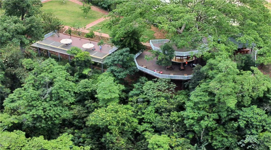 西双版纳旅游