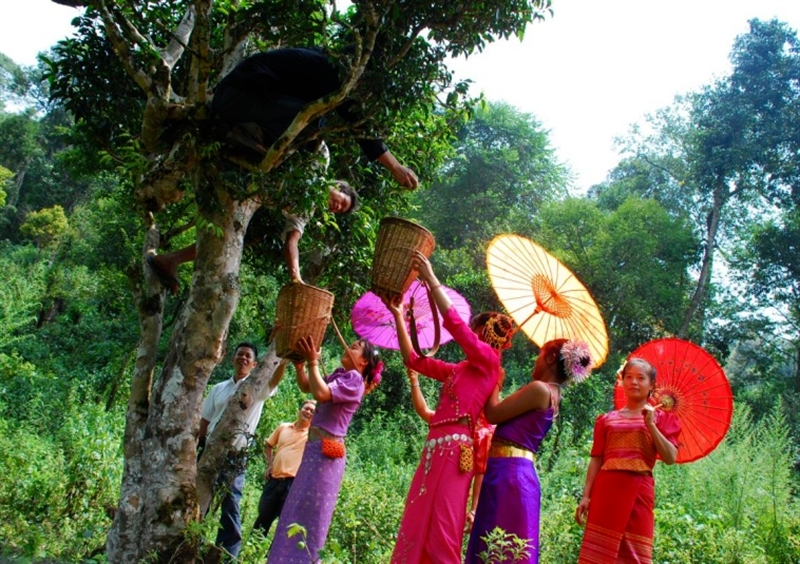 西双版纳旅游