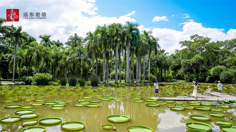 西双版纳植物园
