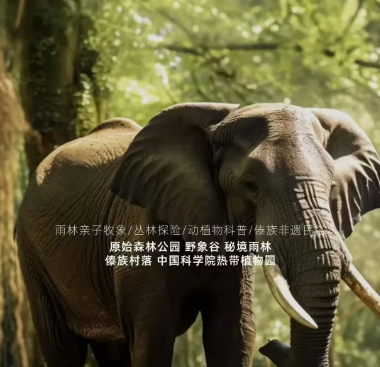 秋冬天来云南旅游团建是个不错的选择云南旅行社,云南团建公司,云南策划公司,云南会议会展,云南策划执行：云南避寒暖冬之旅