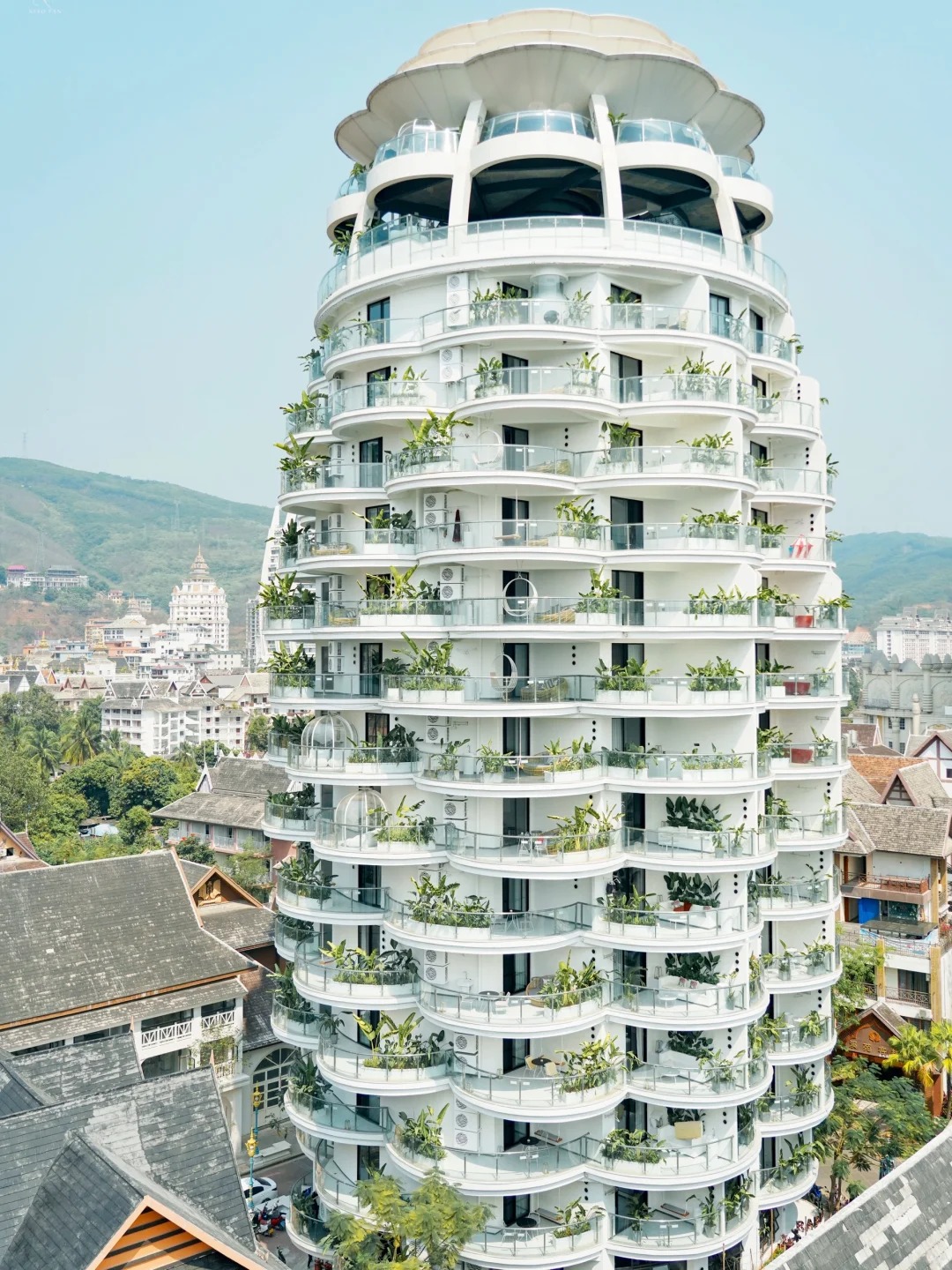 西双版纳【悦莲庄菠萝度假酒店】住进一颗大菠萝，西双版纳最美ins风酒店‼️