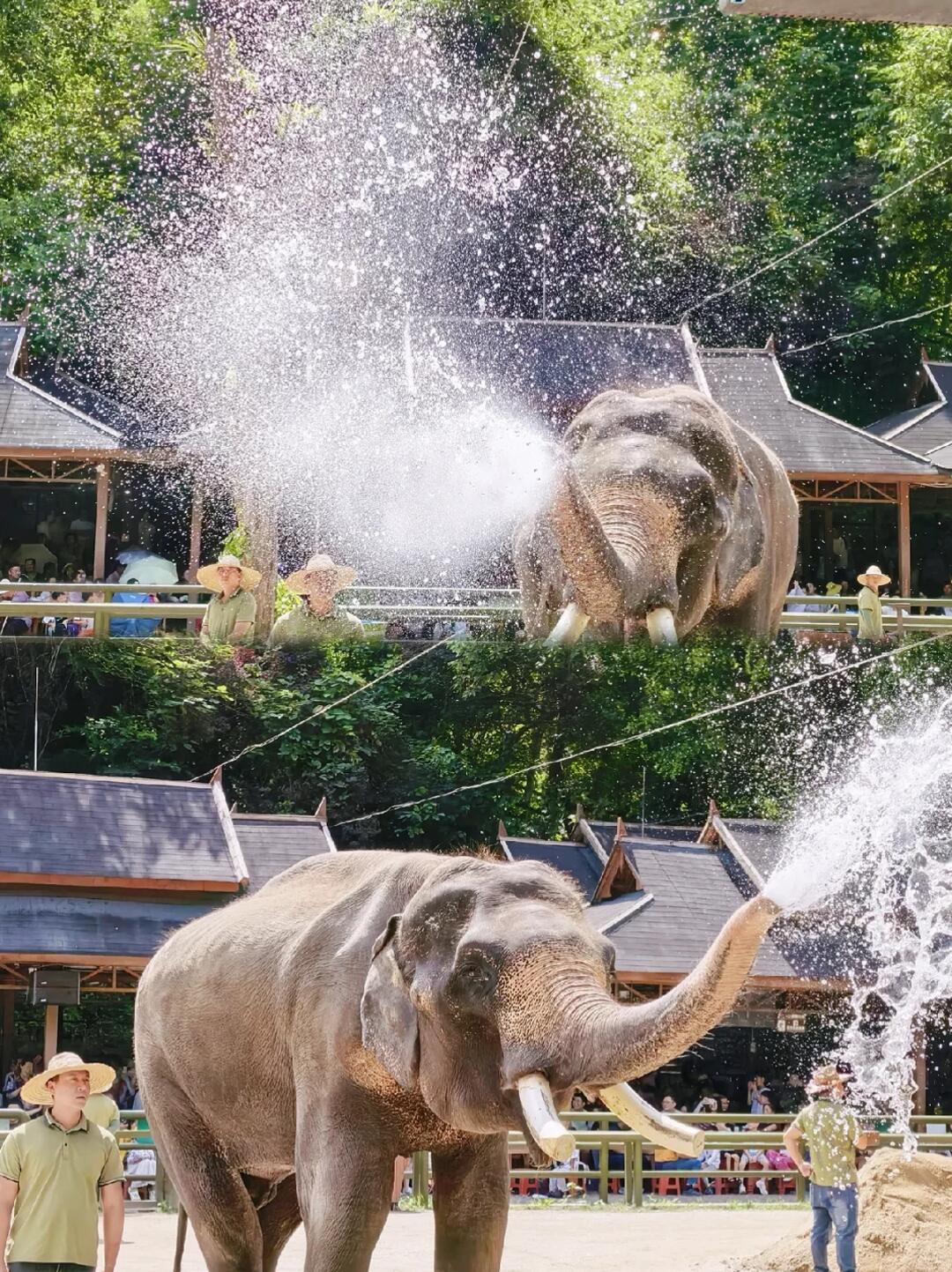 云南旅游西双版纳5日游人均2k+