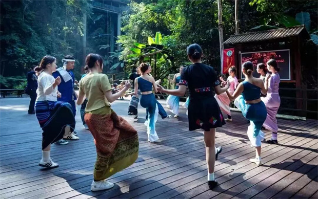 西双版纳旅游：从树冠走廊到南腊河，把勐腊秘境装进一天