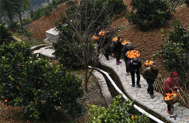 西双版纳旅游：伟大征程｜建党百年：全面建成小康社会，向第二个百年奋斗目标迈进