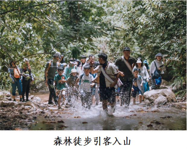 西双版纳旅游：西双版纳州景洪市“雨林漫行·生态体验”入选云南省生态产品价值实现典型案例（第二批）