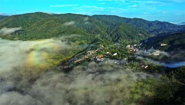 西双版纳旅游：上古茶山 | 攸乐寻茶，开启穿越时光的茶香之旅